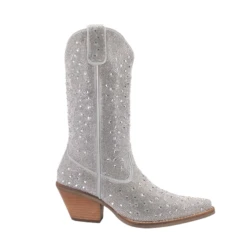 Dingo® Ladies Silver Dollar Rhinestone Silver Boots DI570-GY6 -Ariat Style 570b