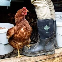 Muck Boot Company Muck Men's Chore Classic Mid Black Pull On Rubber Boots CHM-000A-BL 5 Muck Boot Company Muck Men's Chore Classic Mid Black Pull On Rubber Boots CHM-000A-BL -Ariat Style CHM000A lifestyle LARGE 26f95ff6 592d 4d58 b0c0 33aad30728d9