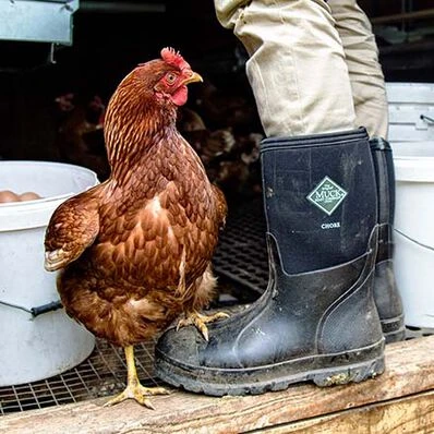 Muck Boot Company Muck Men's Chore Classic Mid Black Pull On Rubber Boots CHM-000A-BL 3 Muck Boot Company Muck Men's Chore Classic Mid Black Pull On Rubber Boots CHM-000A-BL - Image 3