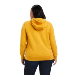 Ariat® Ladies R.E.A.L™ Logo Nugget Gold Hoodie 10041636 -Ariat Style F22 WMS WEST 10041636 back plus