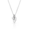 Montana Silversmiths® Ice Charm Necklace NC5109