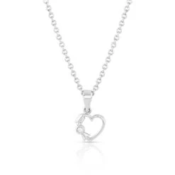 Montana Silversmiths® Ice Silver Necklace NC5113