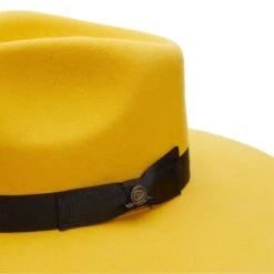 Charlie 1 Horse Yellow Highway Felt Hat CWHIWA-4036YL 7 Charlie 1 Horse Yellow Highway Felt Hat CWHIWA-4036YL -Ariat Style rs 3 f24a83c4 c9f5 4c5b bd83 2dbed4b312c5