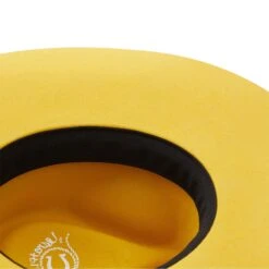 Charlie 1 Horse Yellow Highway Felt Hat CWHIWA-4036YL 9 Charlie 1 Horse Yellow Highway Felt Hat CWHIWA-4036YL -Ariat Style rs 4 48e09437 fd78 4302 9ac4 94dc1be8612b