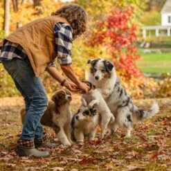 Muck Boot Company Muck Ladies Muckster II Mid Walnut Plaid Waterproof Boots WM2-9PLD -Ariat Style wm2 9PLD 2